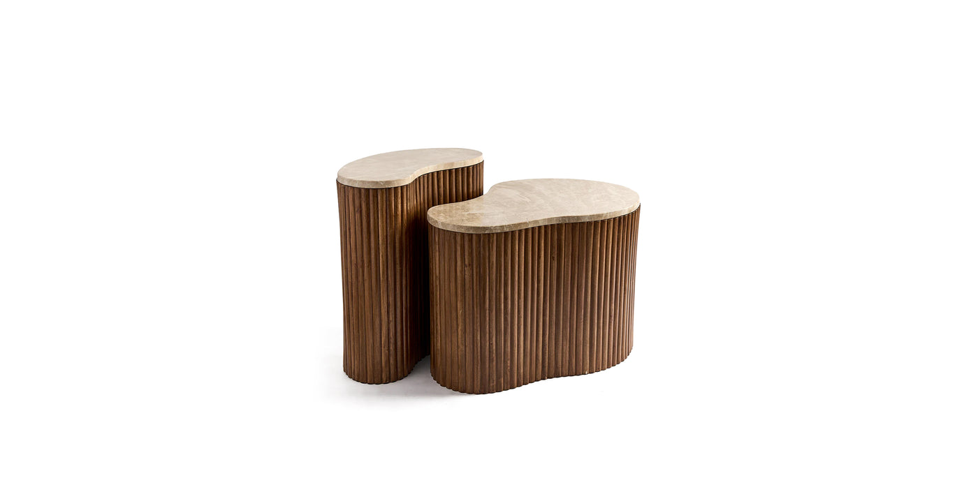 Kidneys Set of 2 Coffee Table