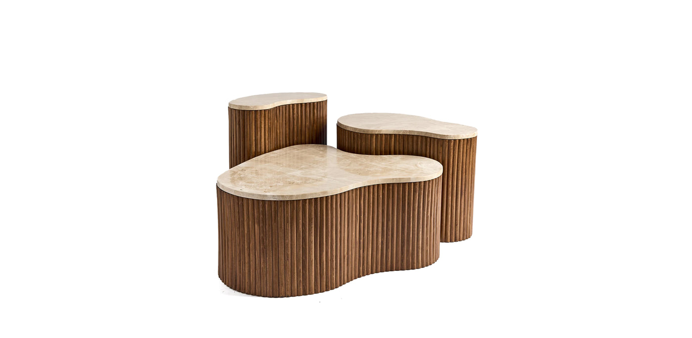 Kidneys Set of 3 Coffee Table