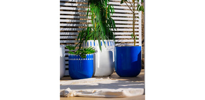 All Blue Planter