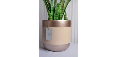 Beige Gold Pot