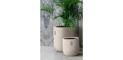 Beige Pot