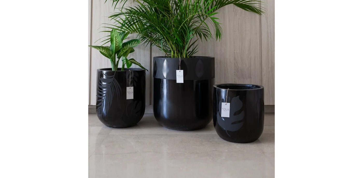 Black Pattern Print Pot