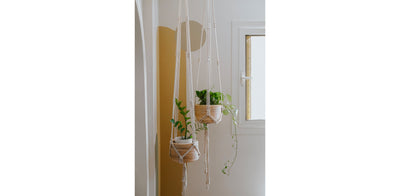 Macrame Hanging Set