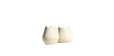 Curvature Vases Set