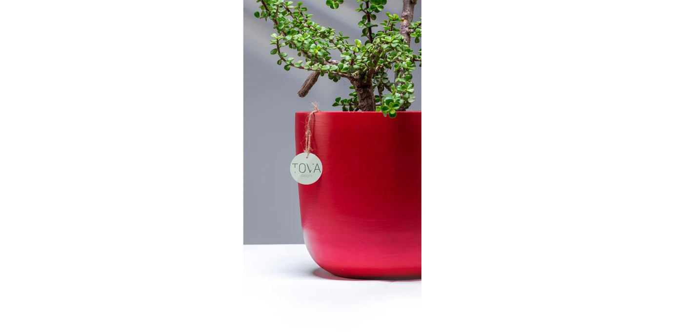 Devine Red Pot