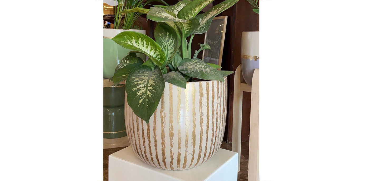 Gold Striped Pot