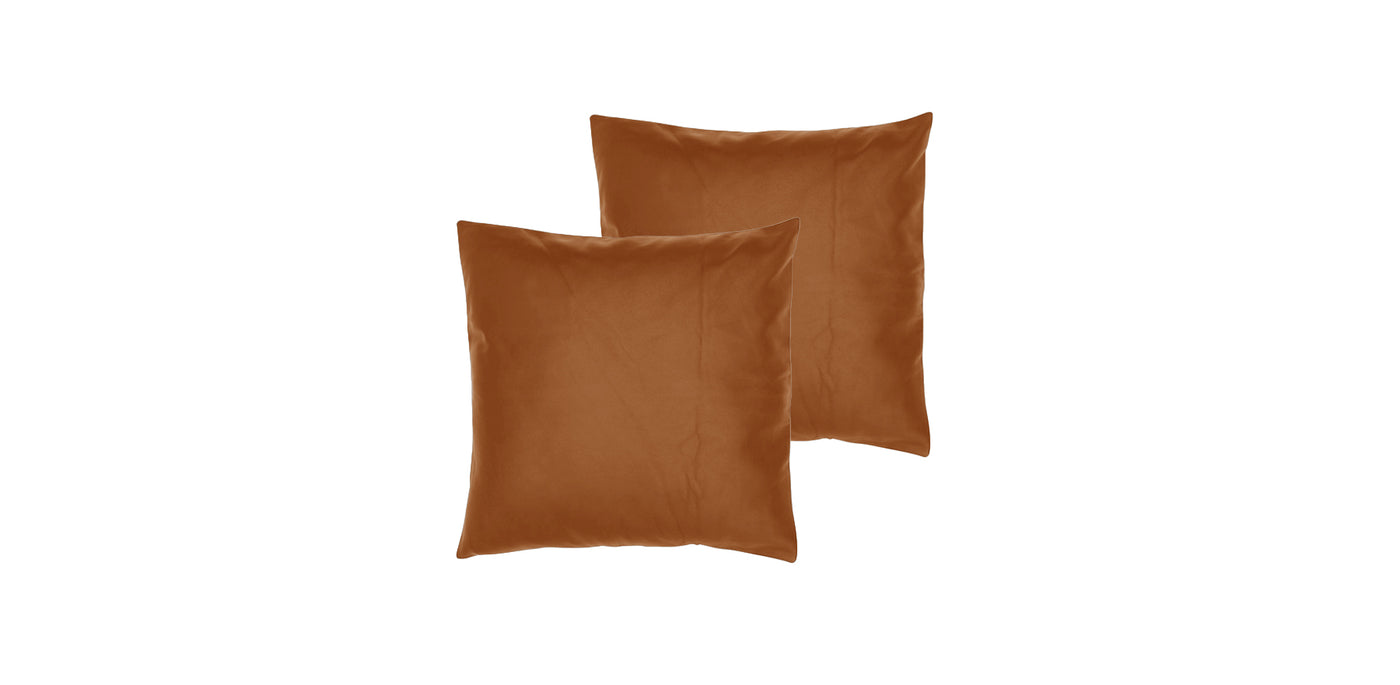 Standard Leather Cushion