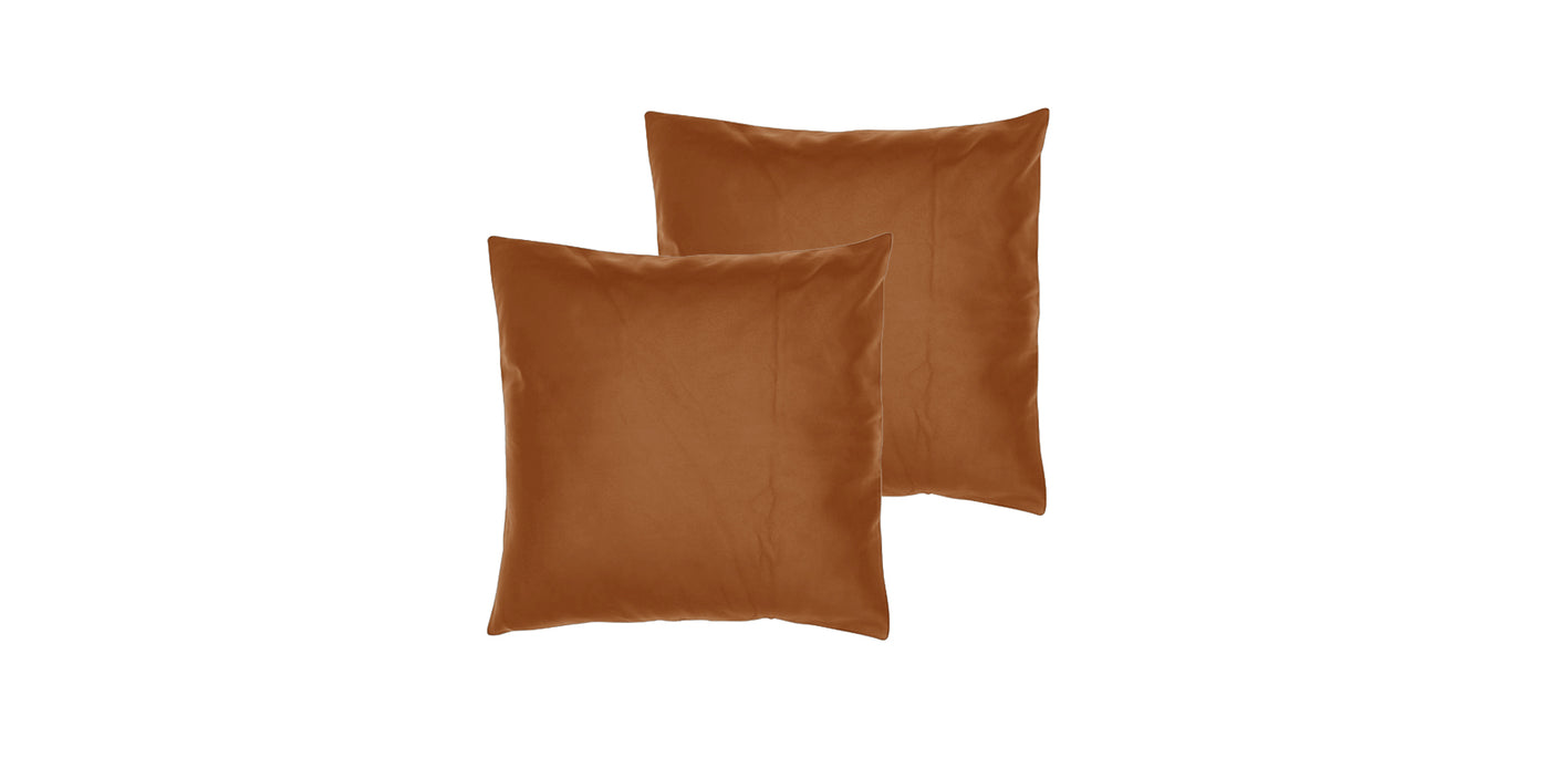 Standard Leather Cushion