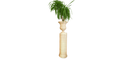 Osiris Planter