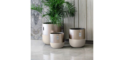 Metallic Beige Pot