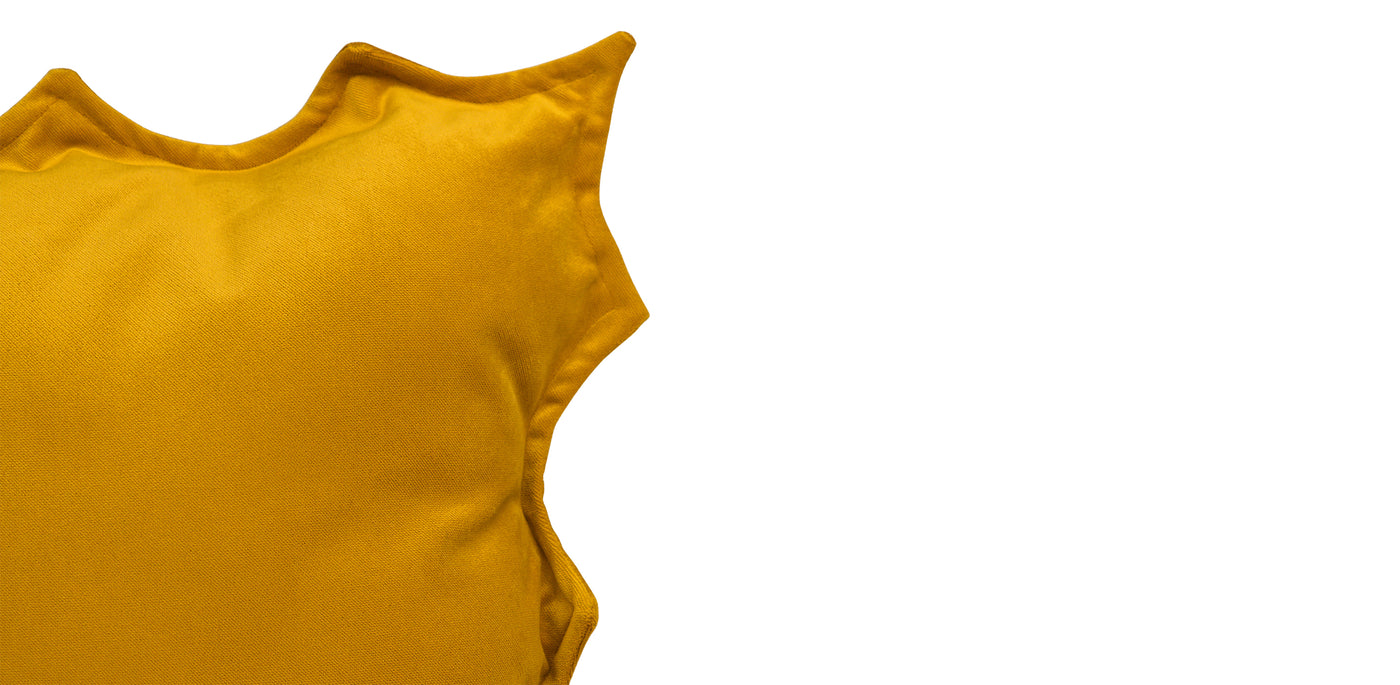 Sunshine Cushion