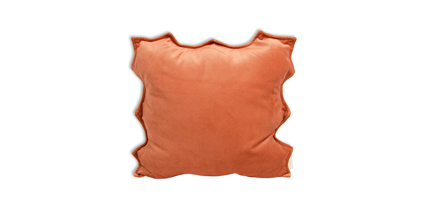 Sunshine Cushion