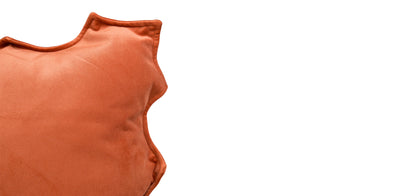 Sunshine Cushion