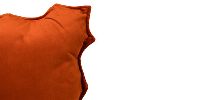 Sunshine Cushion