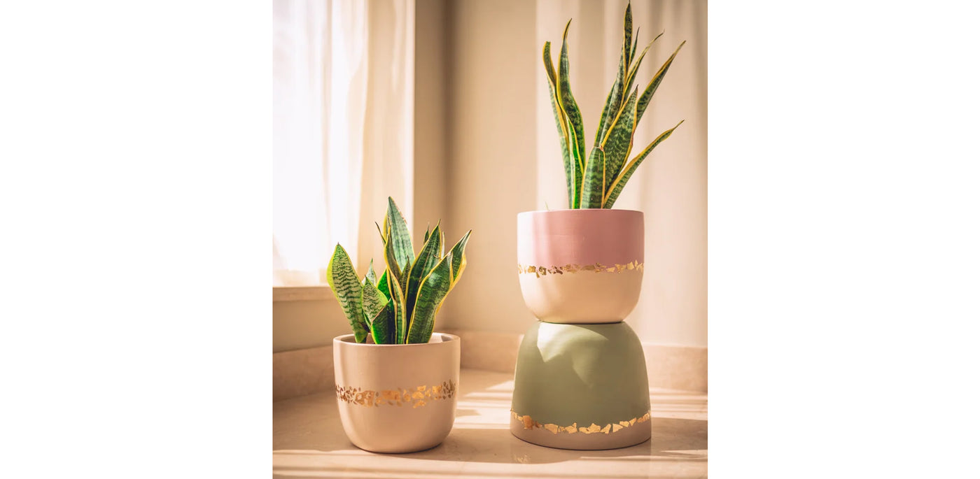 Rustic Gold Desert Beige Pot