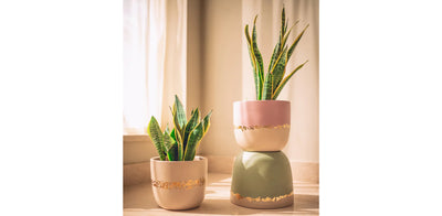 Rustic Gold Dusty Pink Pot