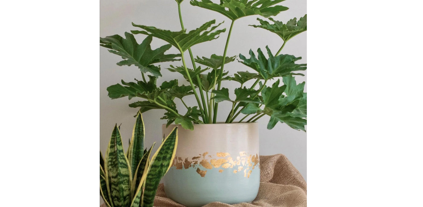 Rustic Gold Mint Blue Pot