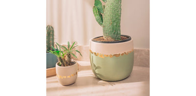 Rustic Gold Olive Pot