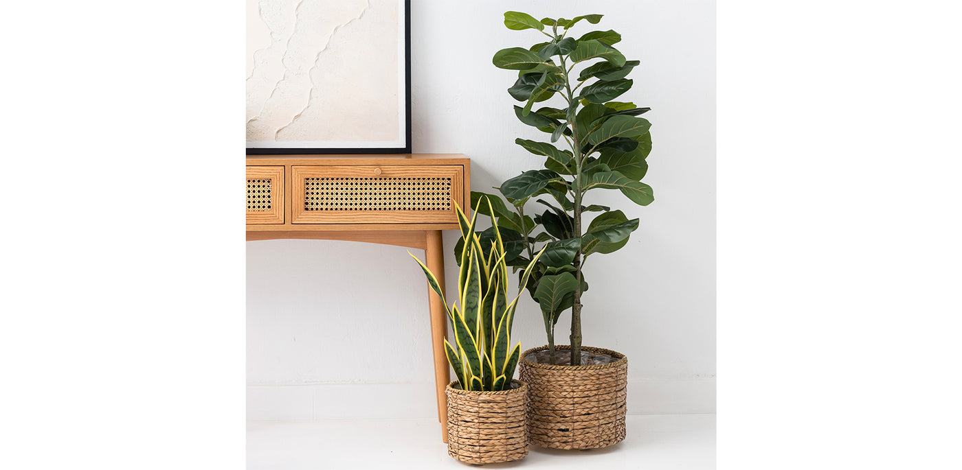 Sina Rattan Console 