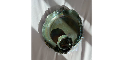 Galaxy Plate