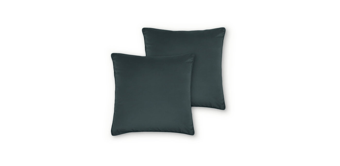 Standard Velvet Cushion