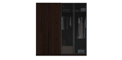 Night Due Glass / Natural Veneer Wardrobe