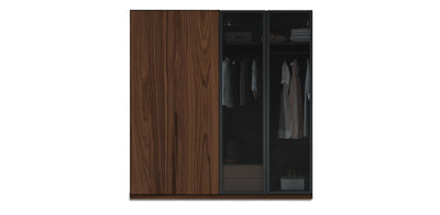 Night Due Glass / Natural Veneer Wardrobe